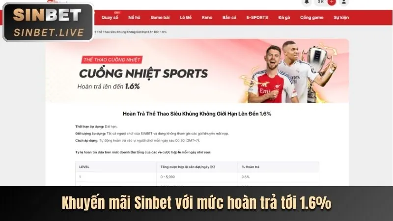 Tổng quan các chủ đề blog mcw bet về thể thao, casino và slot